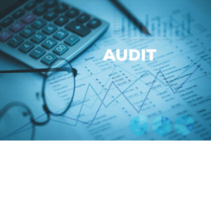 business audit